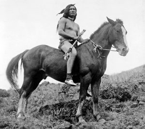 Nez Perce Horse