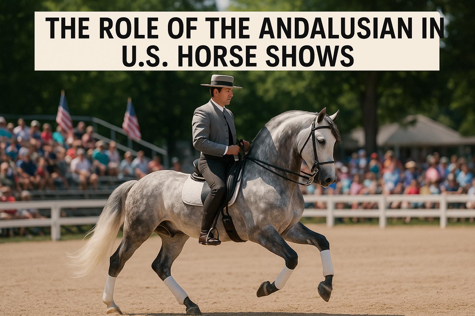 The Role of the Andalusian in U.S. Horse Shows