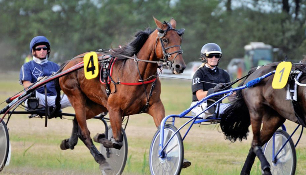 Trav racing in Sweden